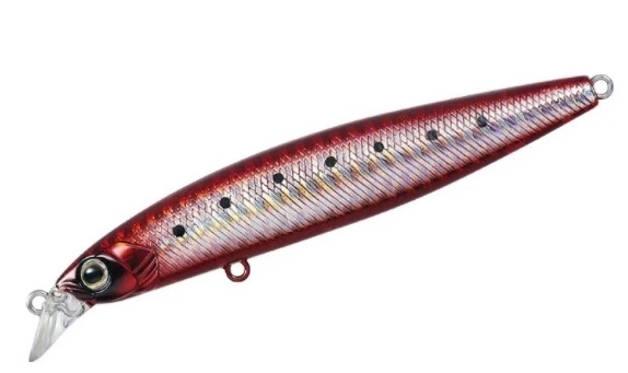 Daiwa Seabass Hunter Z 120F